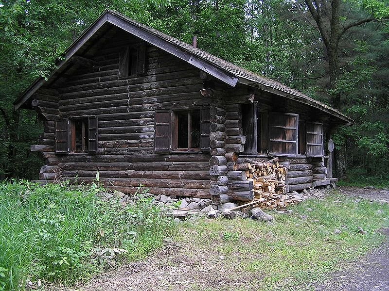 🌲 로쿠고 숲(로쿠고노모리) 이미지 7